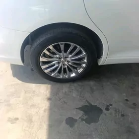 19диски
