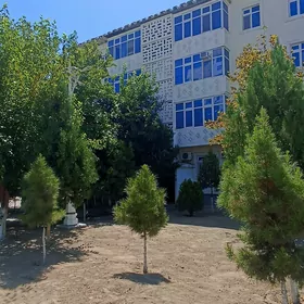 SATLYK DOSAAF 4 KOM