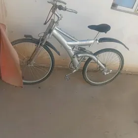 спорт велик