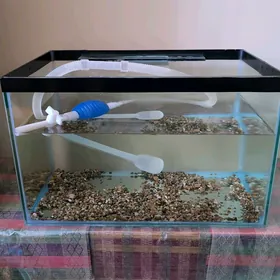 Akwarium/Аквариум/Akvarium
