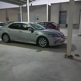 Toyota Camry 2019