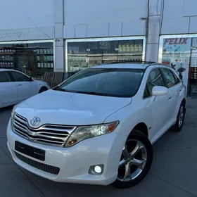 Toyota Venza 2010