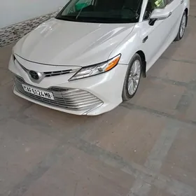 Toyota Camry 2019
