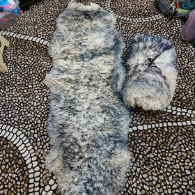чехол