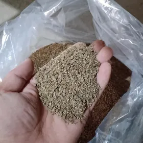 käşir tohum