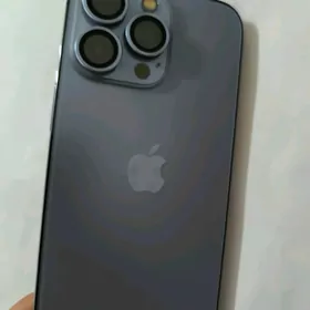 13pro