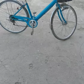 welsepit