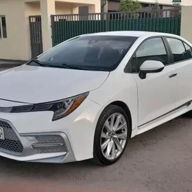 Toyota Corolla 2020