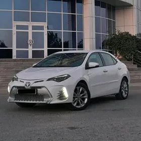 Carolla R17 arginal Diska teke