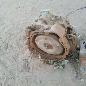 karapga