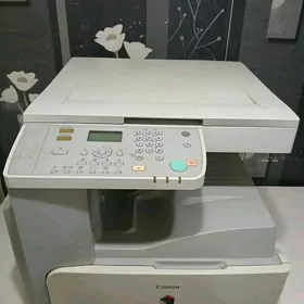 Canon