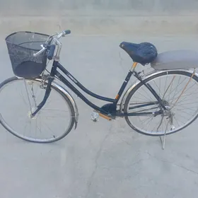 TÌGIR