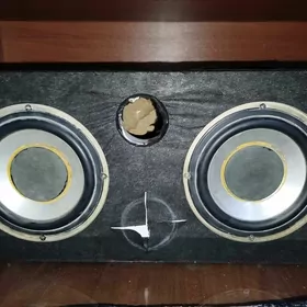 bass bocga