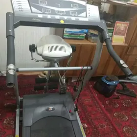 Begawoy . " Marshal Fitness