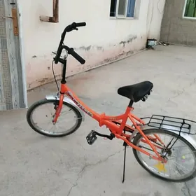 kama tigr