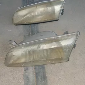 Lesiçka çep çyra лесичка