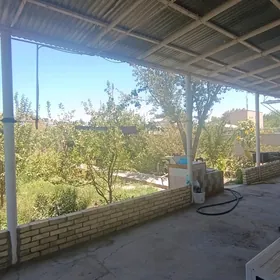 Daça arenda