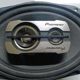 pioneer nikil orgina
