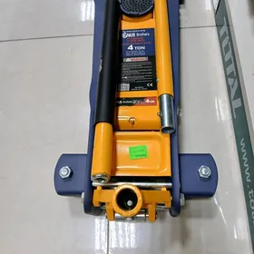 Transplet damkyrat