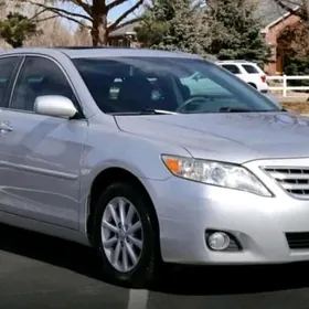Toyota   Camyr.  2011