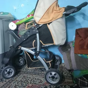 caga kolyaska