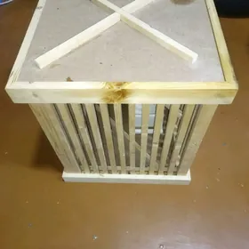 клетка.