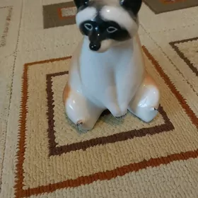 gadymy suwunir