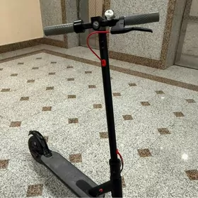 scooter