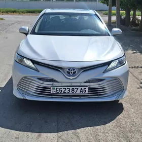 Toyota Camry Hybrid 2019