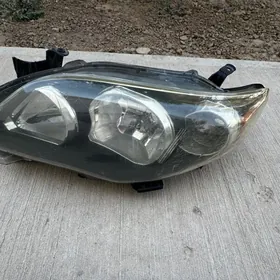 Corolla fara