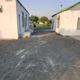 Gypjak mellek
