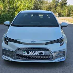 Toyota Corolla 2020