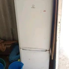 haladnlek