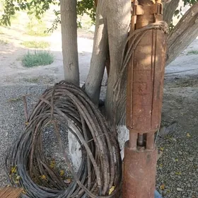 Nasos 8.25lik livinski