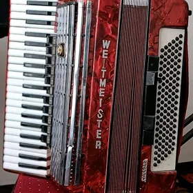 Akardion WELTMEİSTER