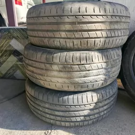 225 55 17 teker tigir pokryshka