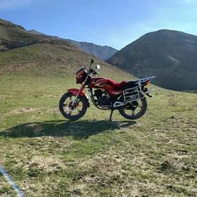 Fekon FK150-8G 2014