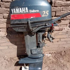 Yamaha 25 zawot