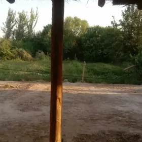 SATLYK JAY