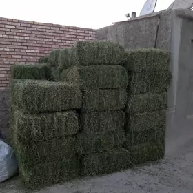 ýorunja