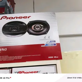 Kalonka pioneer gawun 1000W