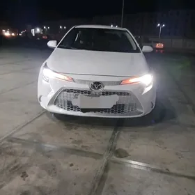 Toyota Corolla 2019