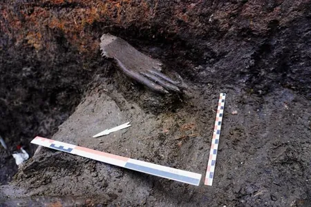 Arheologlar 6 müň ýyllyk täsin agaç eli tapdylar