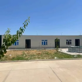 Taze zaman satlyk eyesinden