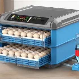 Inkubator