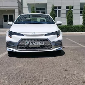 Toyota Corolla 2022
