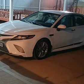 Toyota Camry 2020