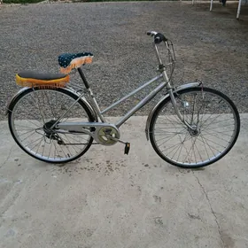 27 6skor öňi 27 lik