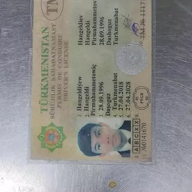 Prava yitdi tapana bayrak bar
