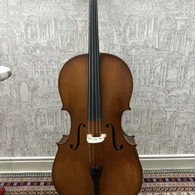 Saz guraly Wiolençel